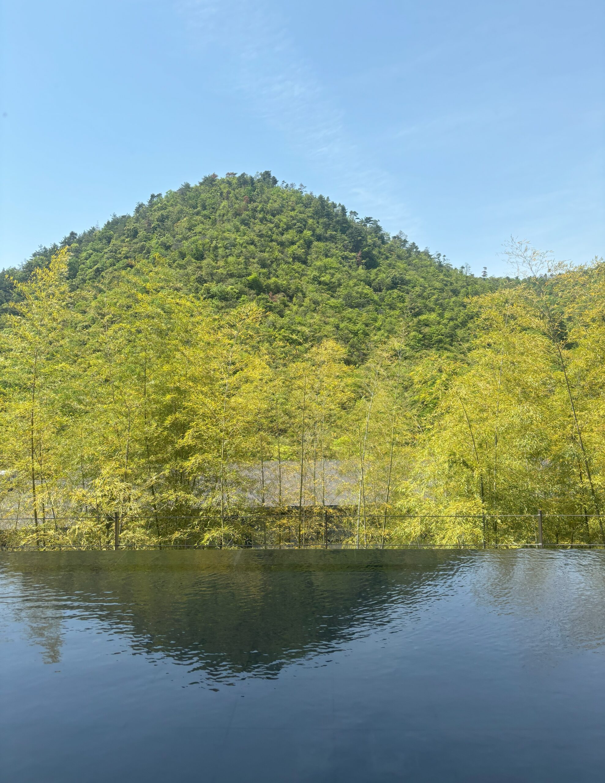 5歳、３歳子連れ京都旅行【東急ハーヴェストクラブ京都鷹峯】